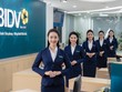 Nhiều ngân hàng dự kiến chia cổ tức ở mức cao như VietinBank, Vietcombank, BIDV, MBBank, VPBank, Nam A Bank…