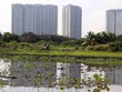 Nghị quyết thí điểm thực hiện dự án nhà ở thương mại thông qua thỏa thuận về nhận quyền sử dụng đất hoặc đang có quyền sử dụng đất sẽ tháo gỡ cho 343 dự án tại TP.HCM. Ảnh: Lê Toàn