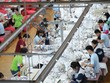 Các ngành xuất khẩu chủ lực, bao gồm dệt may, điện tử, da giày, thủy sản và đồ gỗ, đang phụ thuộc không nhỏ vào thị trường Mỹ