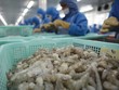 Thủy sản là một trong những mặt hàng Việt Nam khó có thể cạnh tranh tại thị trường Mỹ trong thời gian tới