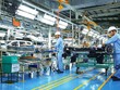HSBC: Nâng dự báo tăng trưởng Việt Nam năm 2025 lên 7,9%