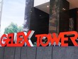 GELEX chia cổ tức năm 2024 với tổng tỉ lệ 10%.