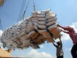 10 thương nhân vừa bị thu hồi Giấy chứng nhận kinh doanh xuát khẩu gạo.