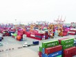 Cục Xuất nhập khẩu cấp các loại C/O mẫu A, C/O mẫu B, C/O không ưu đãi theo quy định của nước nhập khẩu, CNM, C/O mẫu GSTP.