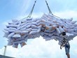 VCCI kiến nghị bãi bỏ loạt quy định cản trở doanh nghiệp xuất khẩu gạo. 