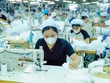 Ngành dệt may đang linh hoạt thích ứng, nắm bắt cơ hội để xuất khẩu (Ảnh: Đức Thanh)