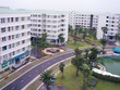 Chính phủ triển khai thí điểm một số chính sách đặc thù phát triển nhà ở xã hội. Ảnh: VGP
