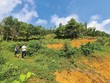 Trong giới đầu tư, tâm lý “sợ bỏ lỡ” luôn hiện hữu, vì vậy nhiều người dễ bị dẫn dụ bởi hình ảnh nườm nượp đi săn đất