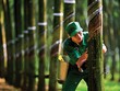 Giá cao su giảm ảnh hưởng tới việc duy trì kết quả kinh doanh của nhóm này