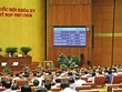 Quốc hội thông qua Luật Cán bộ, công chức