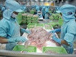 Xuất khẩu tôm, cá tra, gỗ đang phụ thuộc vào chính sách thuế đối ứng của Mỹ 