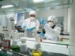 Nhân viên làm việc tại phòng Lab của Imexpharm. Ảnh: Imexpharm