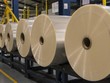 Việt Nam quyết định chấm dứt, không gia hạn biện pháp chống bán phá giá với sản phẩm bằng plastic nhập khẩu.