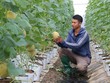 Ngành nông nghiệp vẫn duy trì đà tăng trưởng tích cực