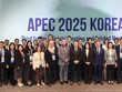 Thúc đẩy hợp tác hải quan xanh và chuyển đổi số tại APEC 2025 