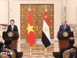 Chủ tịch nước Lương Cường và Tổng thống Ai Cập Abdel Fattah El-Sisi gặp gỡ báo chí để thông tin về kết quả hội đàm. Ảnh: TTXVN