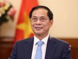 Phó Thủ tướng, Bộ trưởng Bộ Ngoại giao Bùi Thanh Sơn.