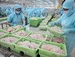 Hiện Việt Nam đứng thứ ba toàn cầu về xuất khẩu thuỷ sản, chiếm hơn 7% thị phần