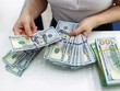 Thị trường ngoại hối trong nước mở đầu tháng 9 với sự tăng mạnh của giá vàng, USD. Ảnh: Đức Thanh