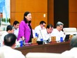 Phó chủ nhiệm Thường trực Ủy ban Dân nguyện và Giám sát của Quốc hội Lê Thị Nga phát biểu tại phiên họp 