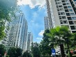 “Ma trận” tranh chấp đang bao trùm các chung cư