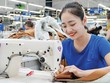 Khoản tiền hoàn thuế đóng góp tích cực vào dòng vốn kinh doanh