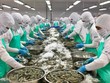 Nhiều các quy định mới đang được EU đưa ra, mục tiêu đảm bảo cho chuỗi cung ứng trở nên minh bạch và bền vững hơn.