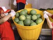 Doanh nghiệp Việt cần chủ động thích ứng quy định mới về xuất khẩu vào thị trường Trung Quốc.
