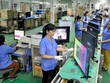 (Ảnh: Internet)