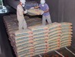 Hàng chục nhà sản xuất xi măng trong nước tăng giá bán sản phẩm thêm 100.000 đồng/tấn từ 18/11/2025. 