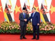 Thủ tướng Phạm Minh Chính hội kiến Quốc vương Brunei Darussalam Haji Hassanal Bolkiah. Ảnh: Đức Thanh