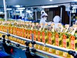 KIDO (KDC) muốn chia cổ tức đặc biệt 5.000 đồng/cổ phiếu