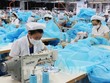 8 tháng, lợi nhuận trước thuế của TNG đạt 170,4 tỷ đồng, tăng 17,5% so với cùng kỳ
