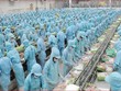 Quý I/2022, IDI báo lãi gấp 10 lần cùng kỳ