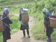 Phụ nữ Việt Nam đạt nhiều tiến bộ trong bảng xếp hạng nữ doanh nhân toàn cầu