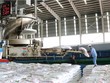 Quý II, Phân bón Cà Mau (DCM) lãi trước thuế 324 tỷ đồng