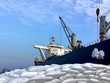 Sản lượng tiêu thụ vượt bậc, PVCFC (DCM) đạt 447 tỷ đồng lợi nhuận trước thuế hợp nhất quý I/2025