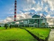Nhiệt điện Hải Phòng (HND): Thanh toán cổ tức đợt 4 năm 2020 tỷ lệ 7%