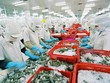 Trung Quốc vượt qua Mỹ trở thành thị trường lớn nhất của thủy sản Việt Nam