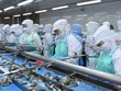 Chăn nuôi C.P Việt Nam trở thành cổ đông lớn tại Thực phẩm Sao Ta (FMC)