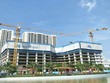 Cổ phiếu HBC lao dốc, anh ruột ông Lê Viết Hải muốn "bắt đáy", đăng ký mua 500.000 cổ phiếu