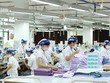 Vinatex (VGT) muốn chuyển nhượng toàn bộ 4,5 triệu cổ phần Dệt may Liên Phương, giá khởi điểm 12.000 đồng