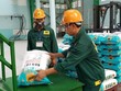 Năm 2024, Phân bón Bình Điền đặt kế hoạch lợi nhuận trước thuế hợp nhất 210 tỷ đồng