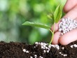 Áp thuế suất GTGT 5%, giá phân bón có dư địa giảm