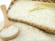 Xuất khẩu gạo Việt rộng mở cơ hội 