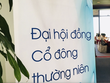 Tổ chức đại hội cổ đông trực tuyến và “hybrid”: Doanh nghiệp còn nhiều lăn tăn