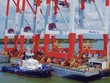 Dịch vụ biển Tân Cảng (TOS) sắp chốt quyền phát hành hơn 14 triệu cổ phiếu thưởng tăng vốn