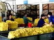 PHR lãi trước thuế gần 26 tỷ đồng trong quý I