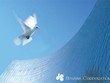 HBC trả cổ tức 15%, thưởng cổ phiếu 30%