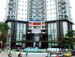 Cổ phiếu OGC bị kiểm soát đặc biệt từ ngày 14/7